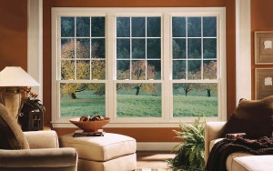 Windows and Door